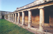 GYMNASIUM OF THE STABIAN BATHS OF POMPEII