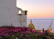 View of Positano and its vegetation