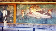 Spectacular fresco with Venus, which gives the House of Venus in the shell