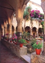 SAN FRANCESCO CLOISTER IN SORRENTO