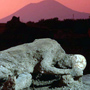 THREE-HOUR PRIVATE  TOUR OF POMPEII WITH AN ENGLISH-SPEAKING GUIDE (POMPEII  TOURS)