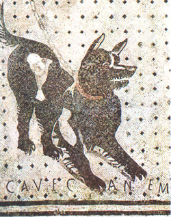 HOUSE OF THE TRAGIC POET - POMPEII
