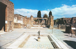 HOUSE OF THE FAUN - POMPEII