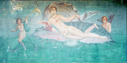 HOUSE OF VENUS - POMPEII