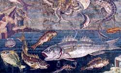 PATINA DE PISCICULIS (Souffl of Small Fishes)