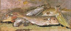 ALITER IUS IN MULLOS ASSOS (Red Mullet in Fennel and Mint Sauce)