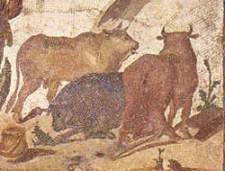 LVCANICAE (Lucanian Sausages)