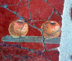 BETACEOS VARRONIS (Beets  la Varro)