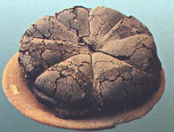 SALA CATTABIA (Picene bread)