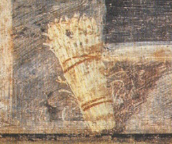 ALITER PATINA DE ASPARAGIS (Asparagus Patina) 